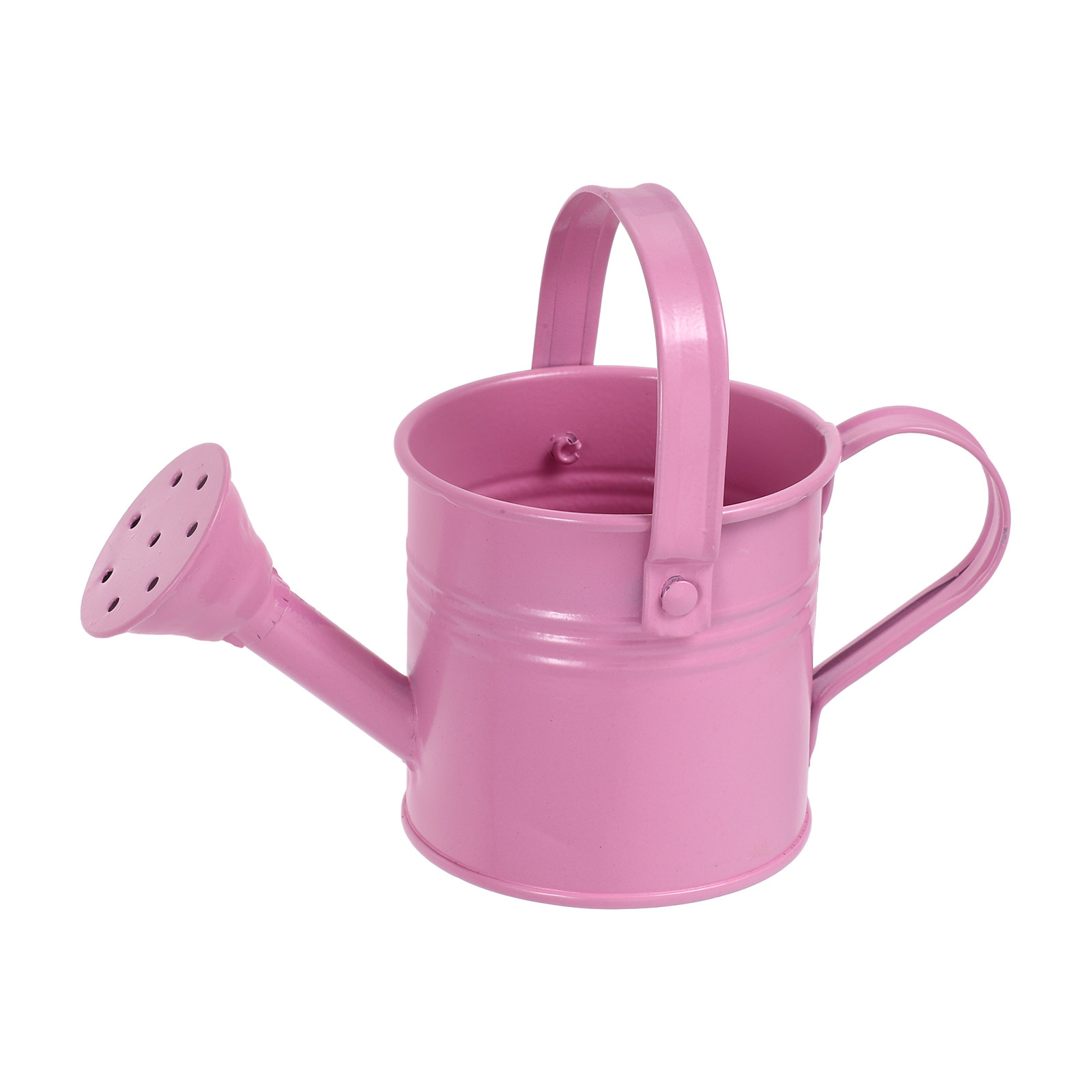 Watering Can - Mini-Gießkanne aus verzinktem Metall für Zimmerpflanzen,