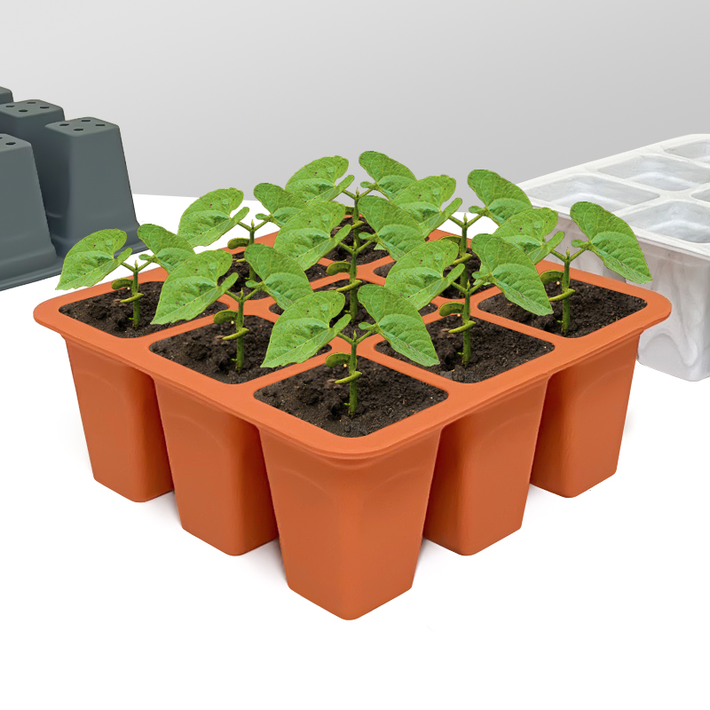 9-Zellen-Silikon-Gemüsesaatgut – Seed Starter Tray Bewertung und Preis