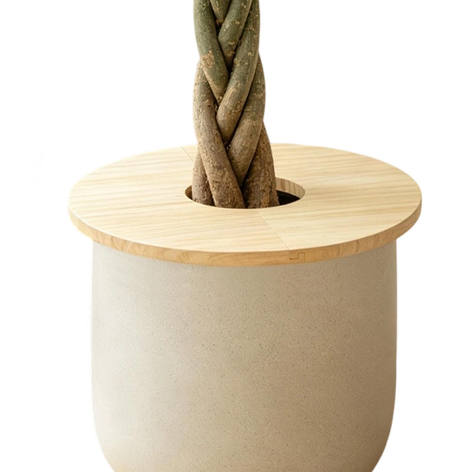 Blumentopf-Abdeckungen aus Hol – Indoor Herb Garden Bewertung und Preis