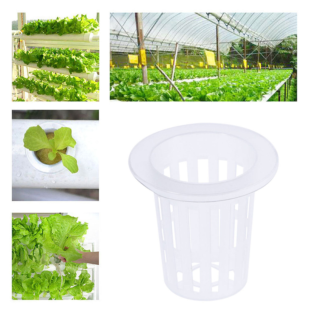 10 Stück Hydrokultur-Netztöpfe – Plant Pot Bewertung und Preis