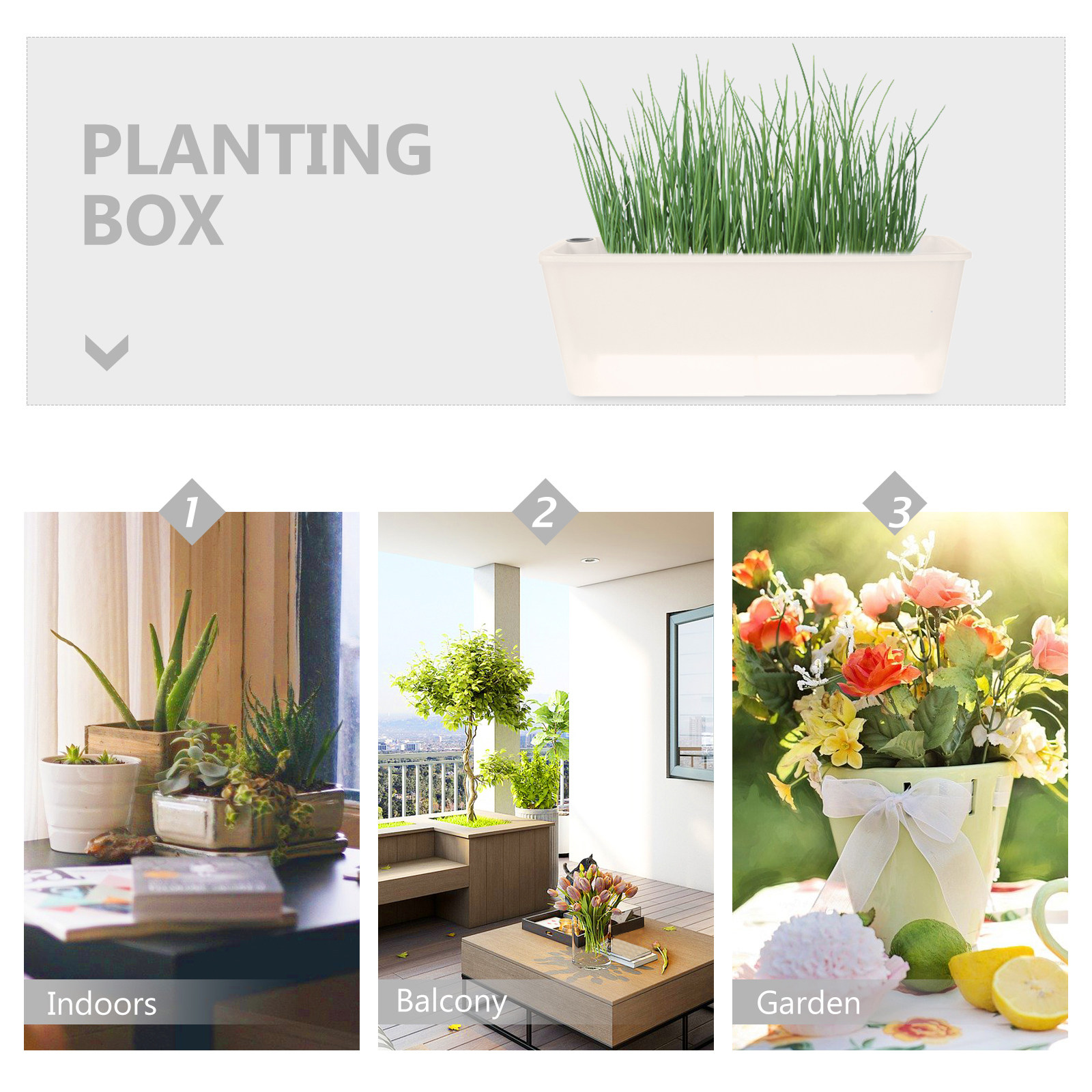 Rechteckiger Pflanzkasten, lan – Self Watering Planter Bewertung und Preis