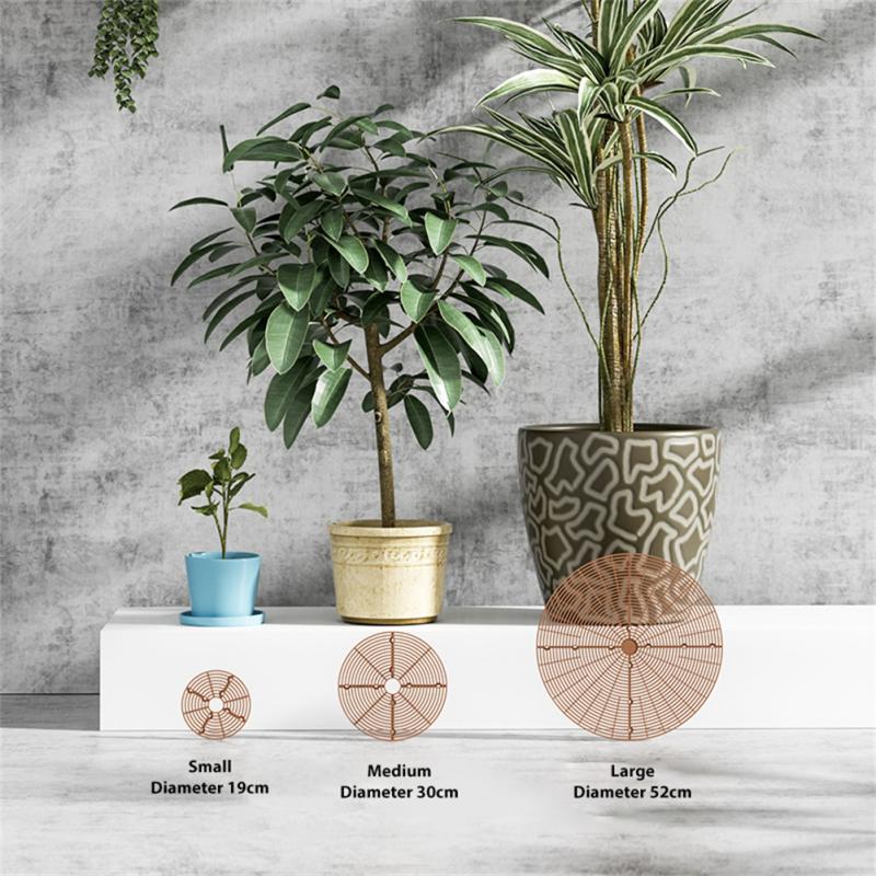 Blumentopf-Abdeckung Pflanzeng – Indoor Herb Garden Bewertung und Preis