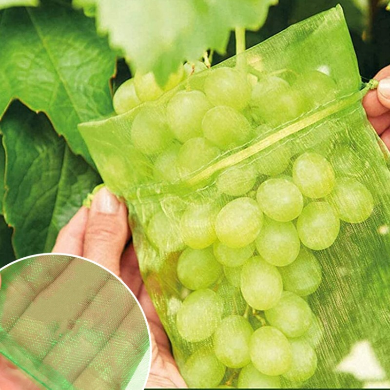 10/120x Organza-Obstschutzbeut – Grow Bag Bewertung und Preis