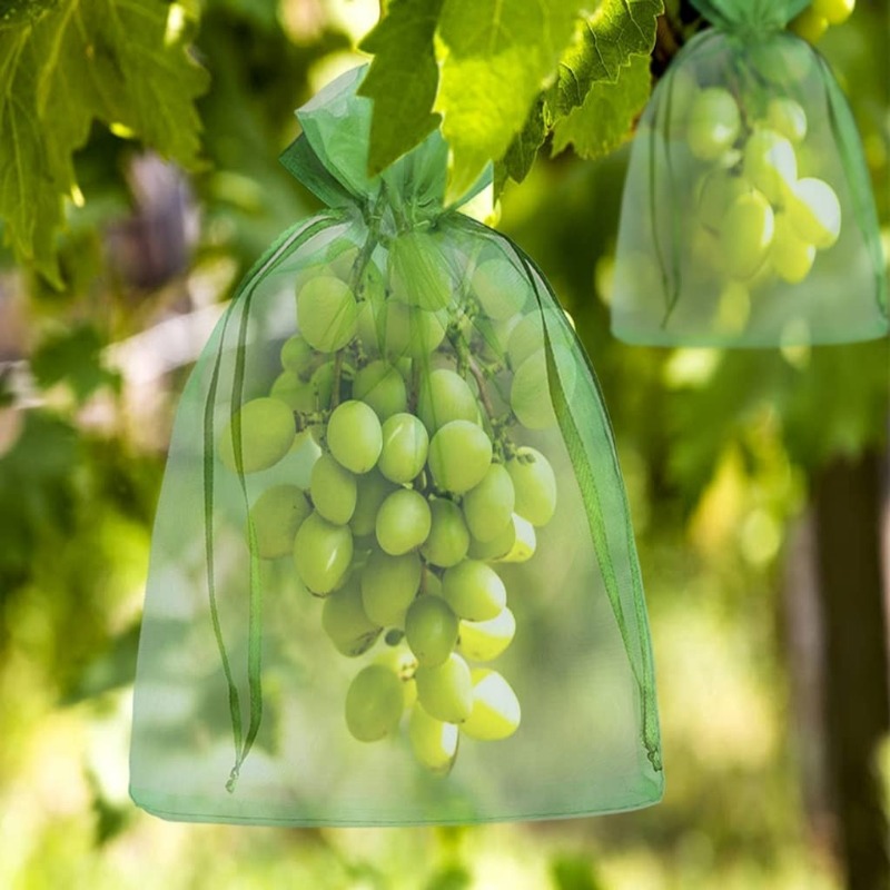 10/120x Organza-Obstschutzbeut – Grow Bag Bewertung und Preis