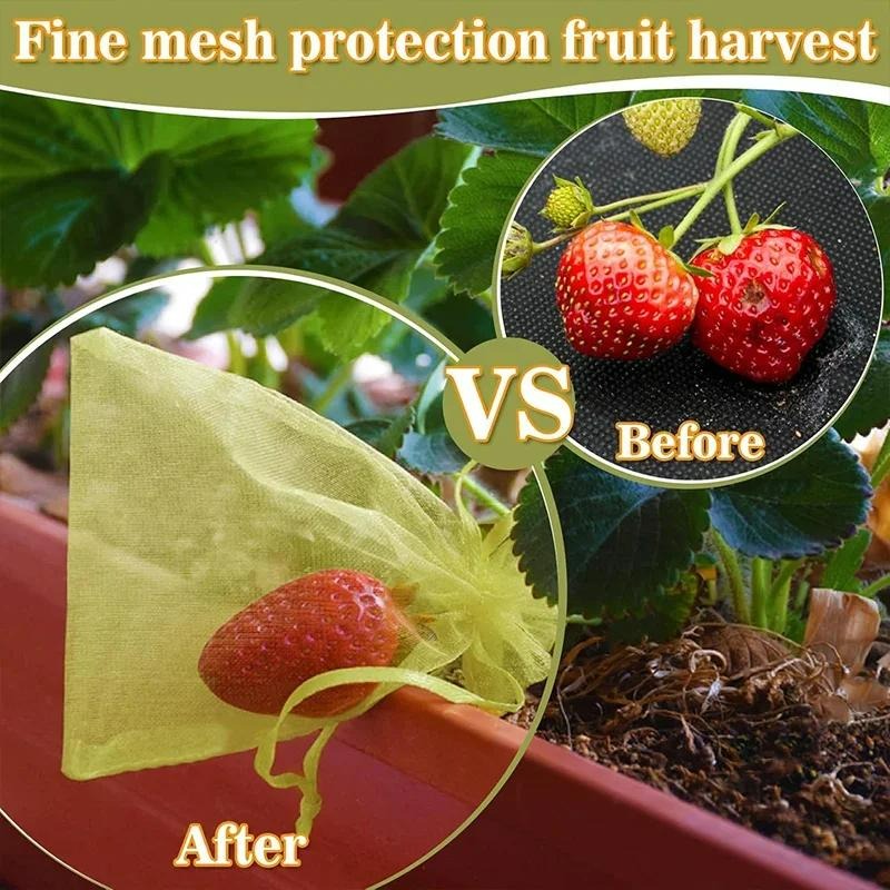 10/120x Organza-Obstschutzbeut – Grow Bag Bewertung und Preis