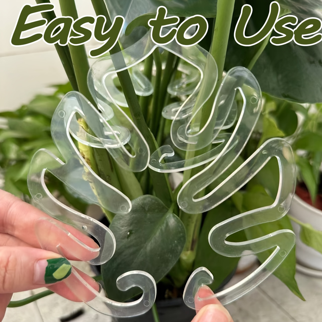 Flexible Kunststoff-Monstera-P – Vertical Planter Bewertung und Preis