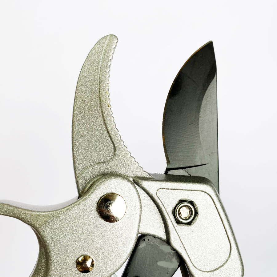 Professionelle Ratschen-Garten – Pruning Shears Bewertung und Preis