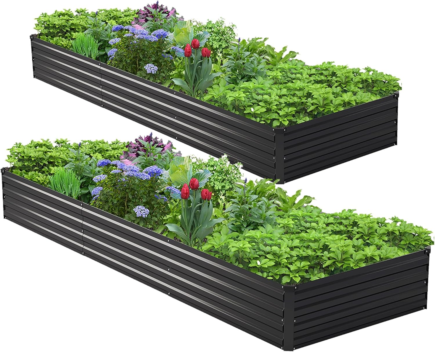 2er-Set 10x3x1ft Verzinktes Ho – Raised Garden Bed Bewertung und Preis