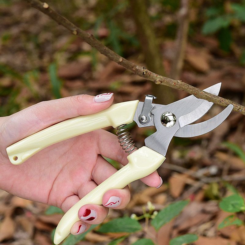 Arbeitssparende Gartenschere,  – Pruning Shears Bewertung und Preis
