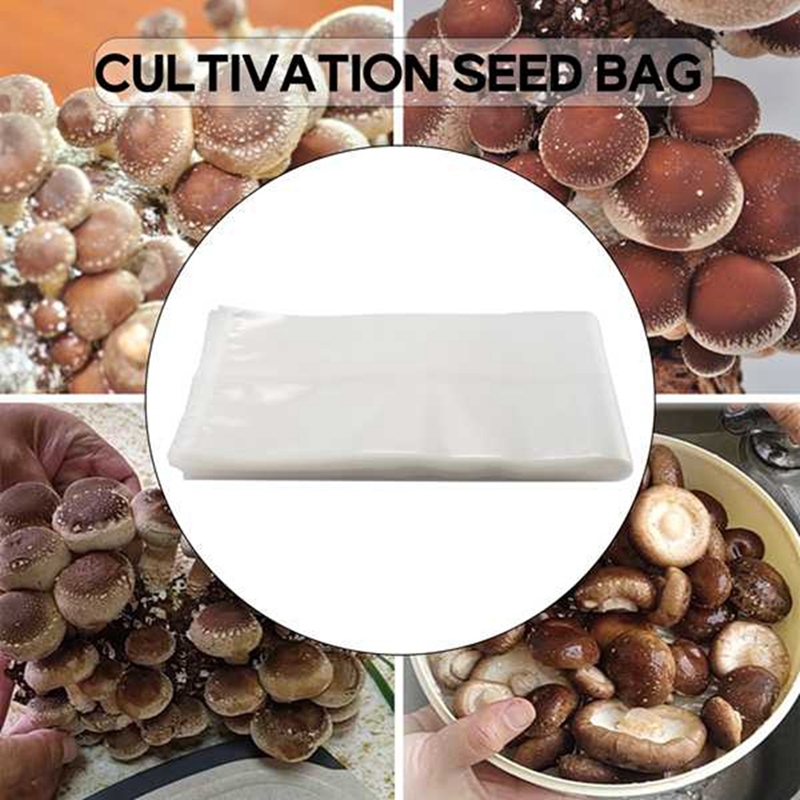 50 Stück Pilzbeutel/Pilzzuchtb – Grow Bag Bewertung und Preis
