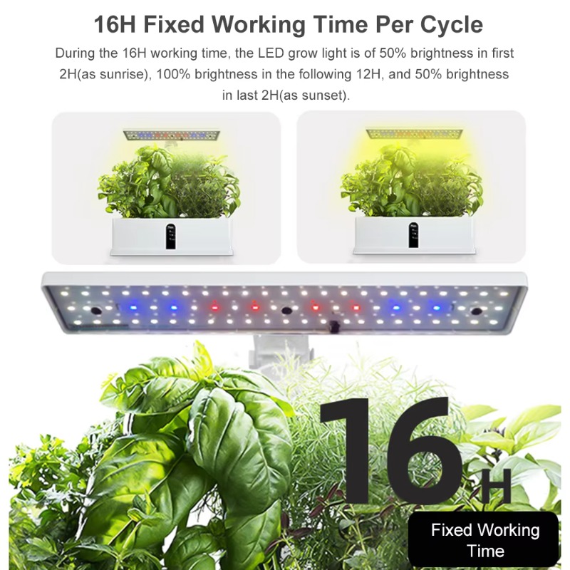 9-Pods Smart Hydroponisches An – Hydroponic Kit Bewertung und Preis