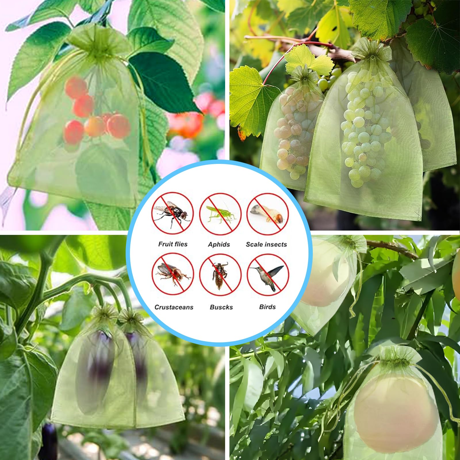 Effektives Vogelschutznetz Obs – Grow Bag Bewertung und Preis