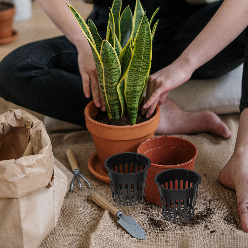 15 Stück Hydrokultur-Pflanzenk – Plant Pot Bewertung und Preis
