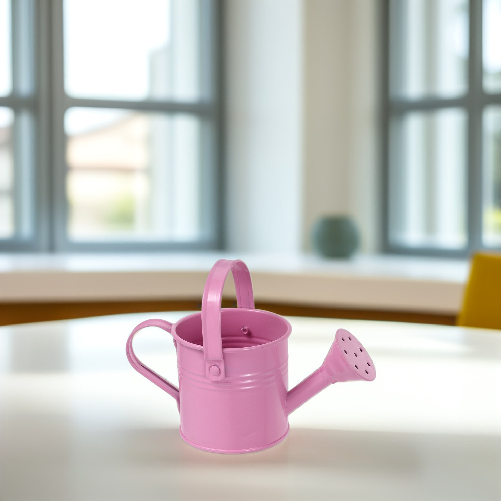Mini-Gießkanne aus verzinktem  – Watering Can Bewertung und Preis