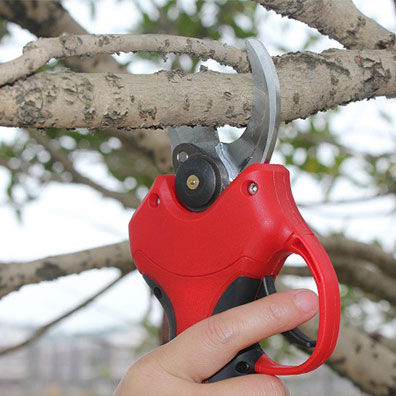 25-40mm Akku-Gartenschere für  – Pruning Shears Bewertung und Preis
