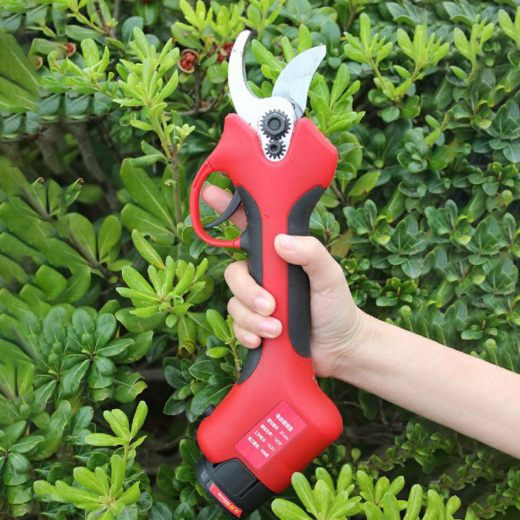 25-40mm Akku-Gartenschere für  – Pruning Shears Bewertung und Preis