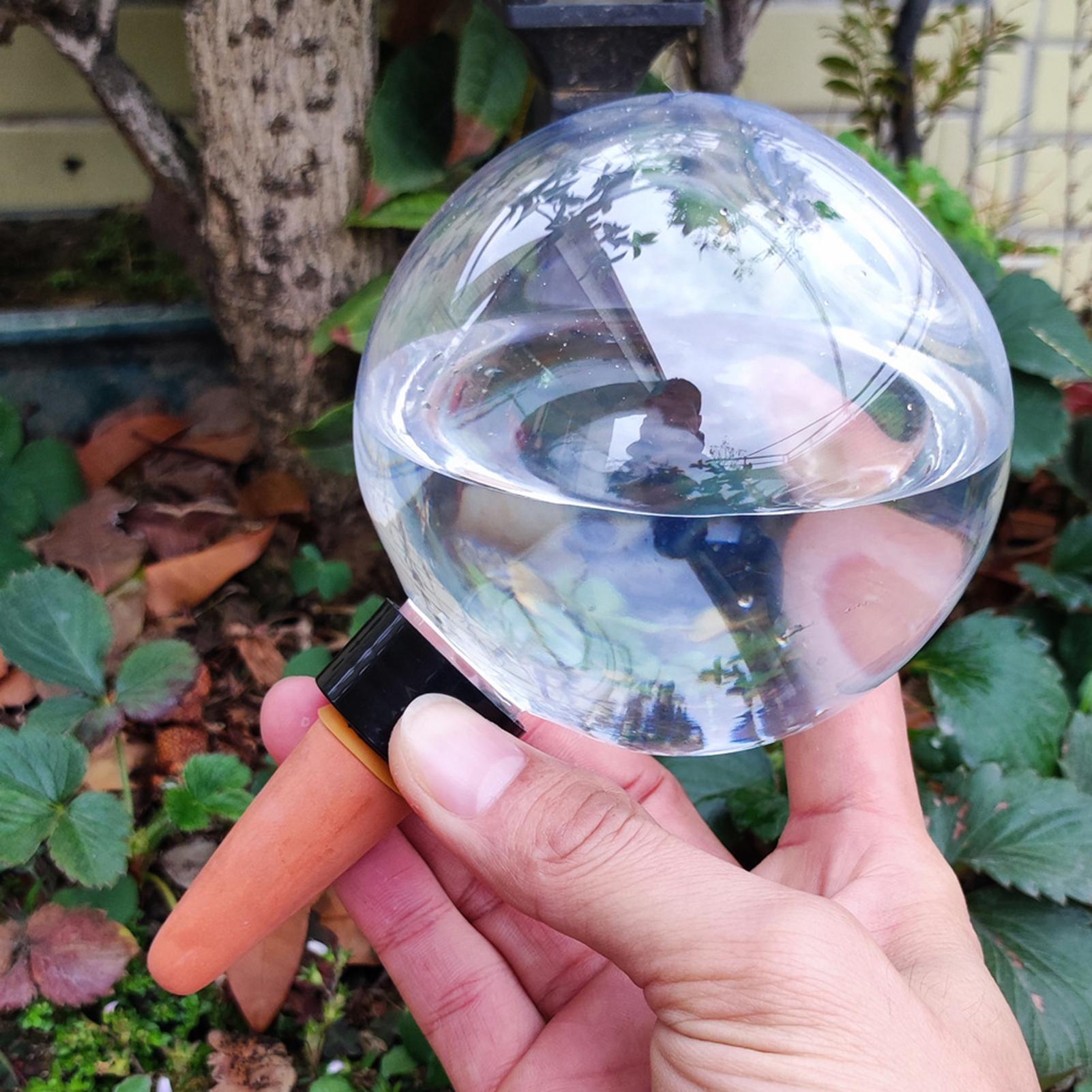 500 ml automatische Pflanzenbe – Self Watering Planter Bewertung und Preis
