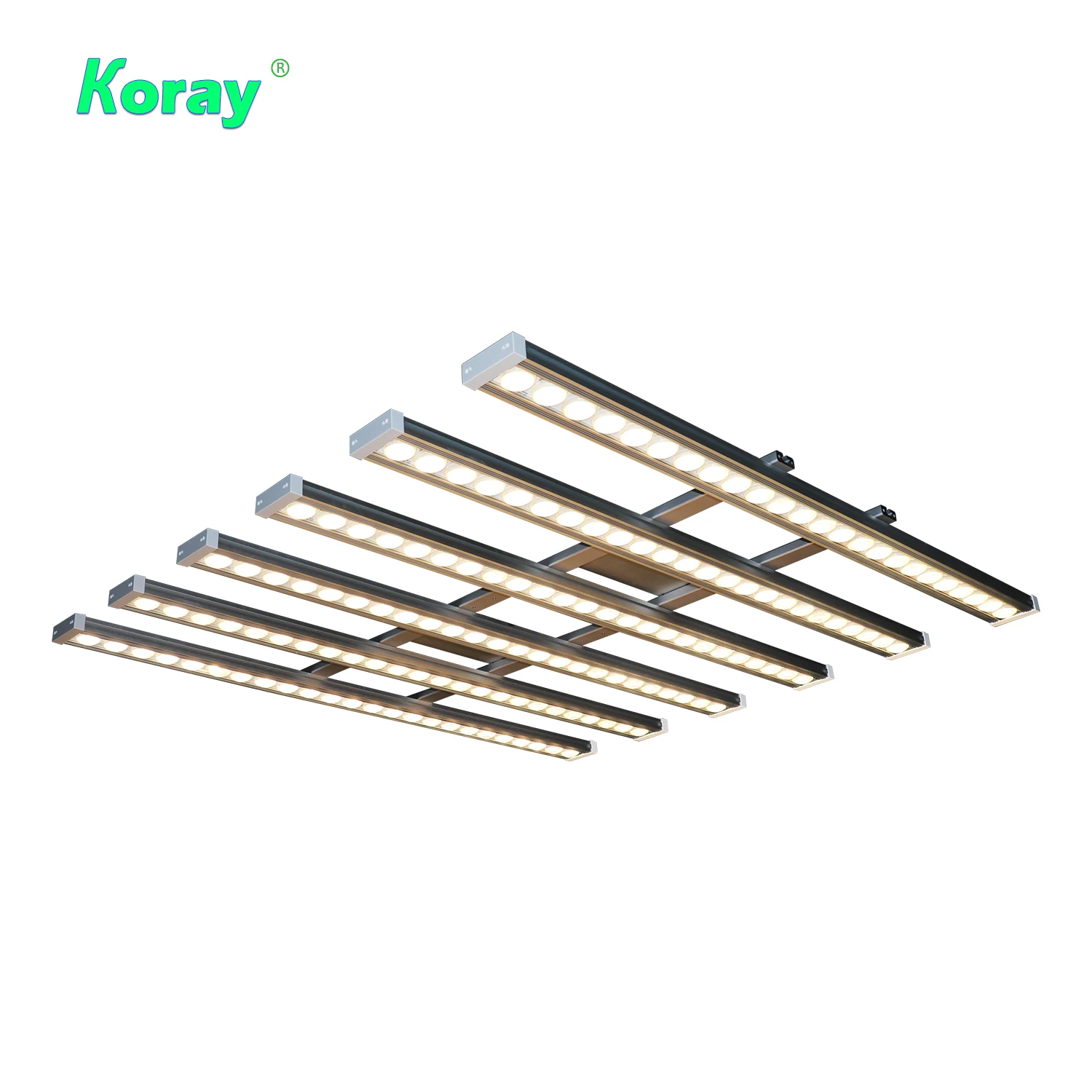Koray 900W Indoor Vollspektrum – Grow Light Led Bewertung und Preis