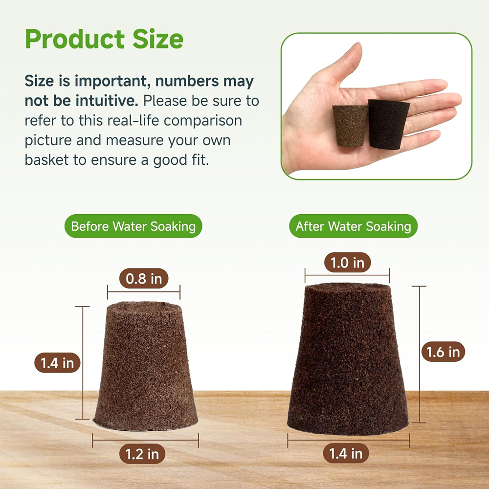 20 Hydroponische Anzuchtschwäm – Indoor Herb Garden Bewertung und Preis