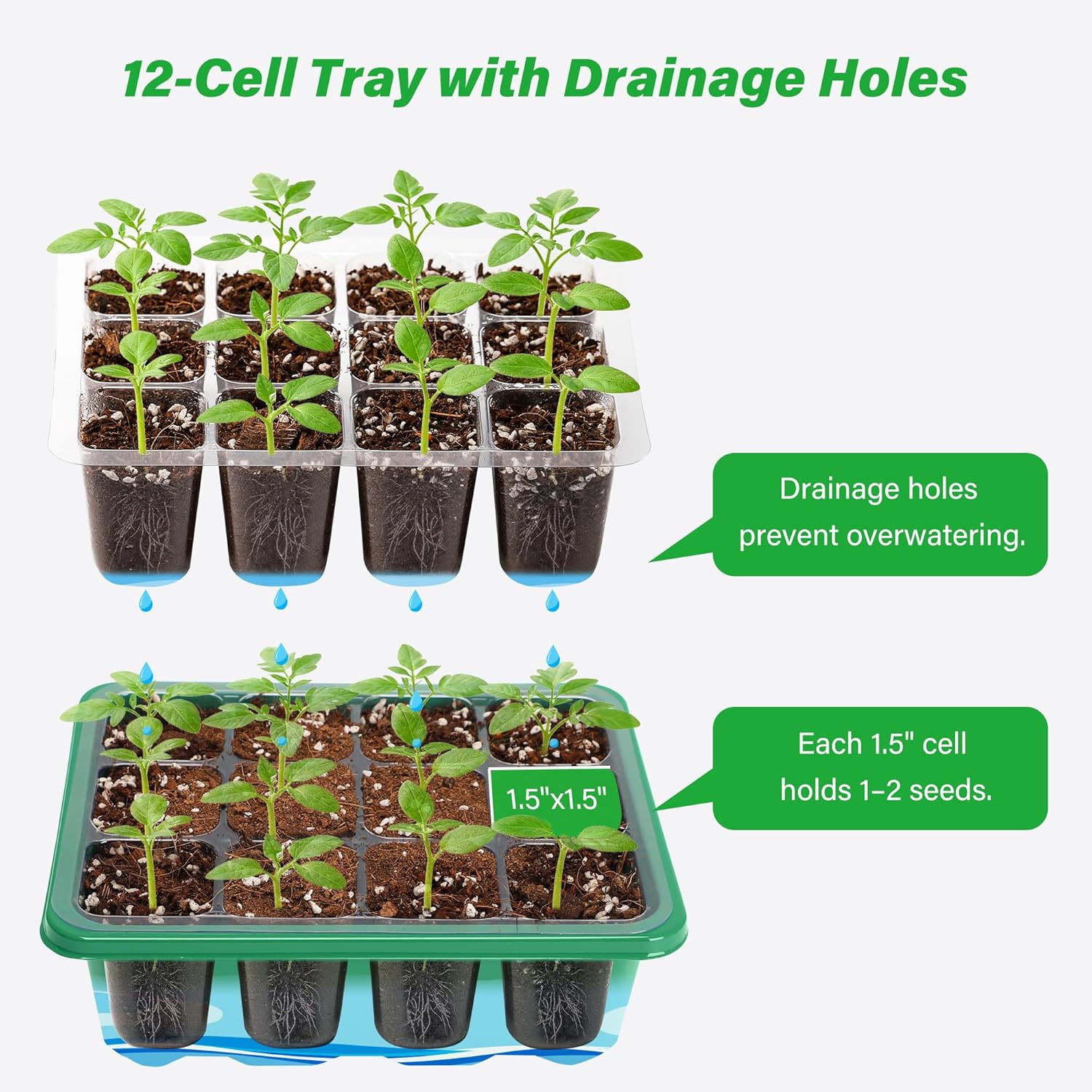 Anzuchtschalen-Set für Pflanze – Seed Starter Tray Bewertung und Preis